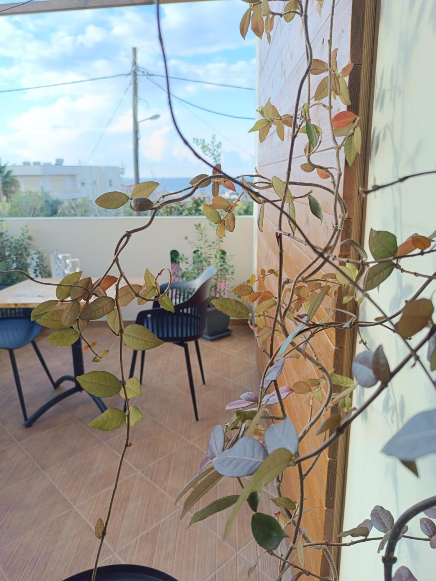 Apartment Giodriana Cozy